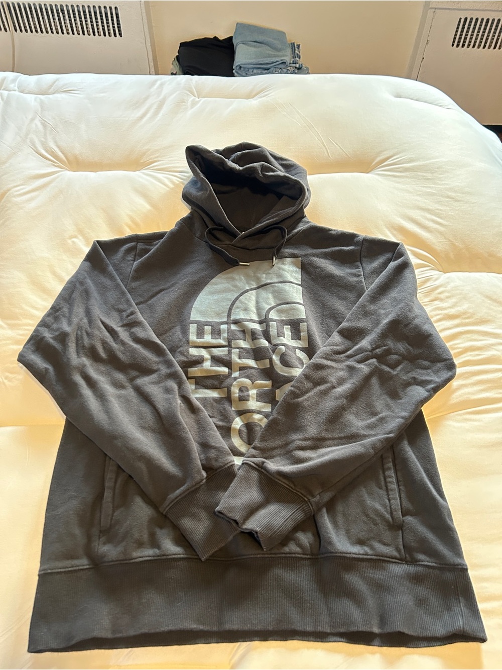 The North Face Men's Logo Hoodie